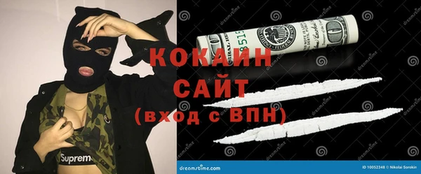 СК Каменногорск