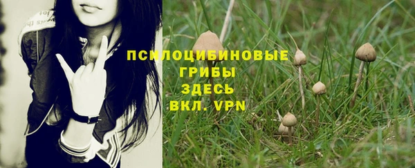 спайс Инсар