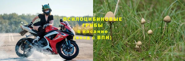 прущие крисы Каменск-Шахтинский