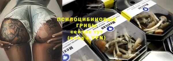 спайс Инсар