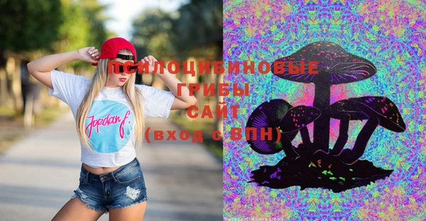 спайс Инсар