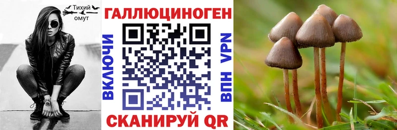 Купить закладки  Реж  Галлюциногенные грибы Psilocybe 